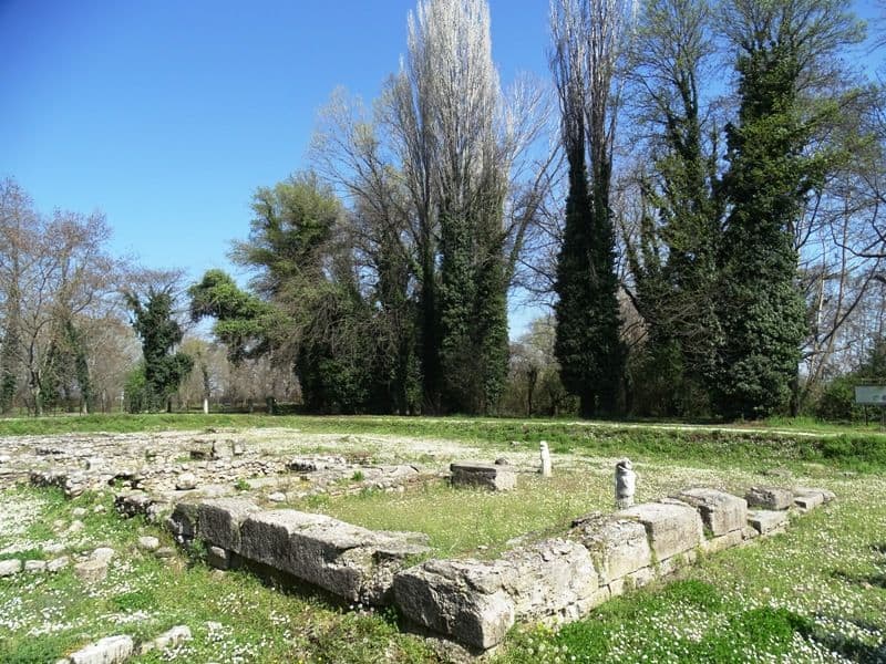 The archaeological site of Dion