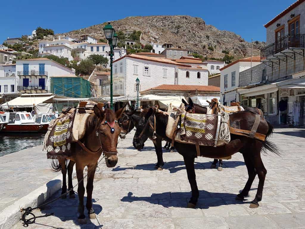 donkeys at Hydra harbour