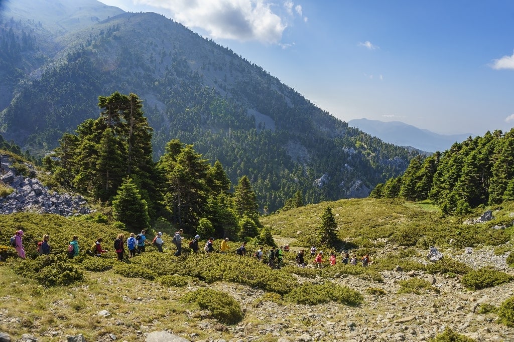 Hiking in Dirfis Mountain in Evia