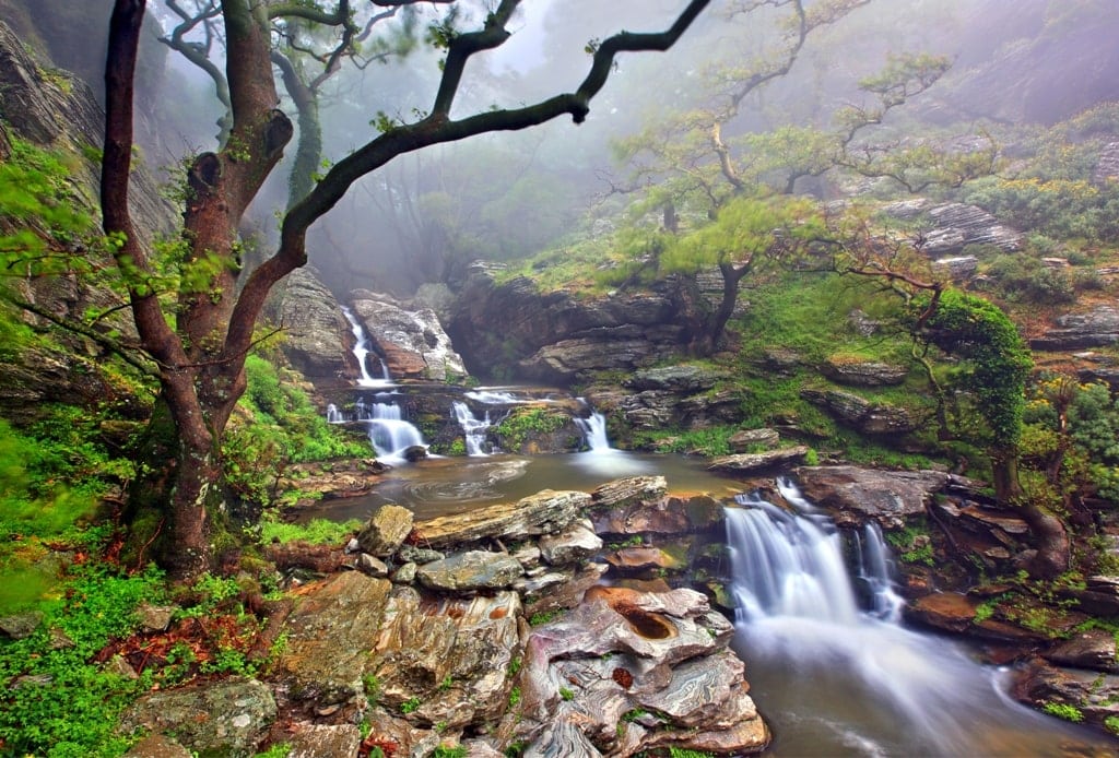 Dimosari Gorge in Evoia - Hiking on the Greek islands