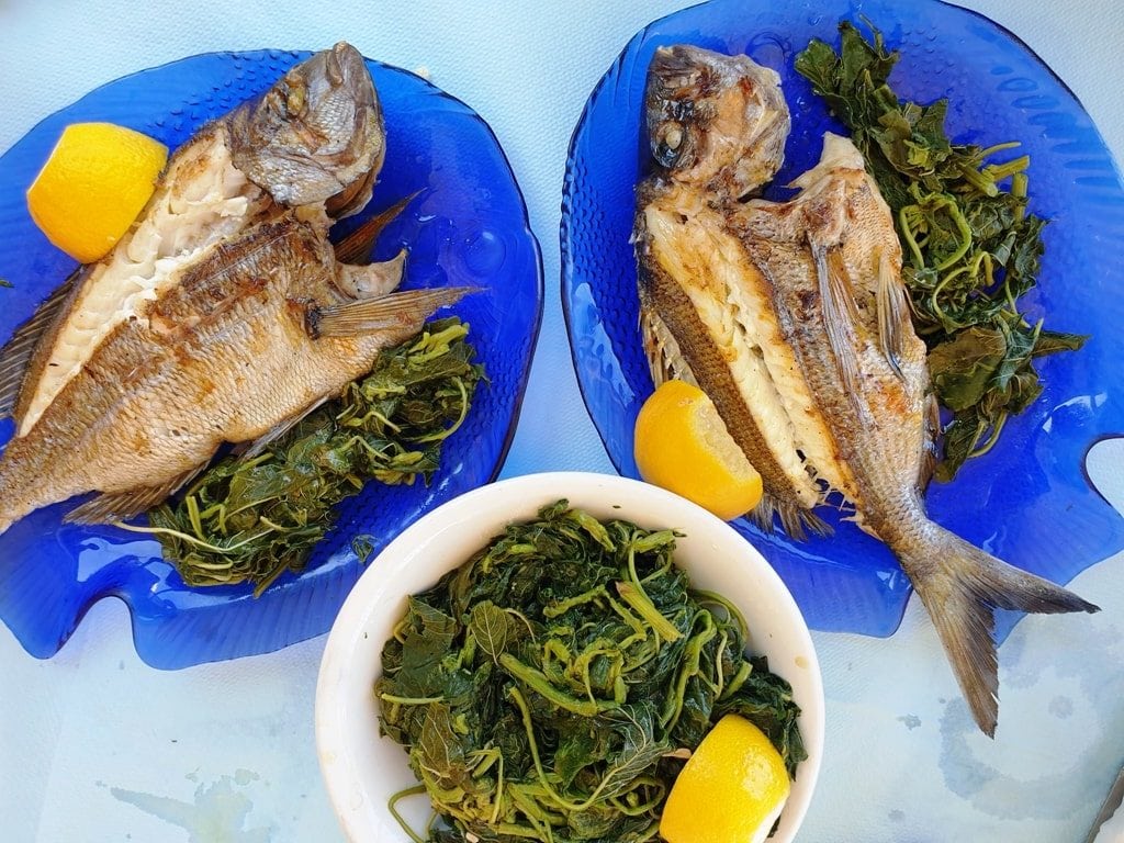fish - tavernas in Greece