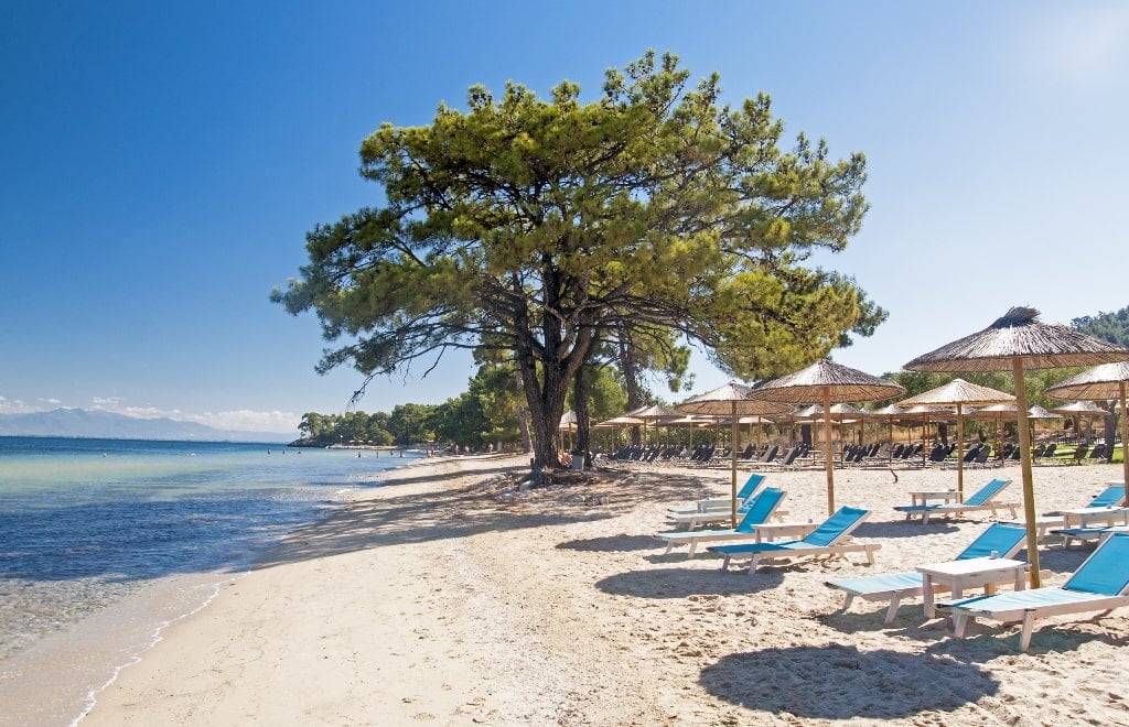 Pachis Beach Thassos best beaches