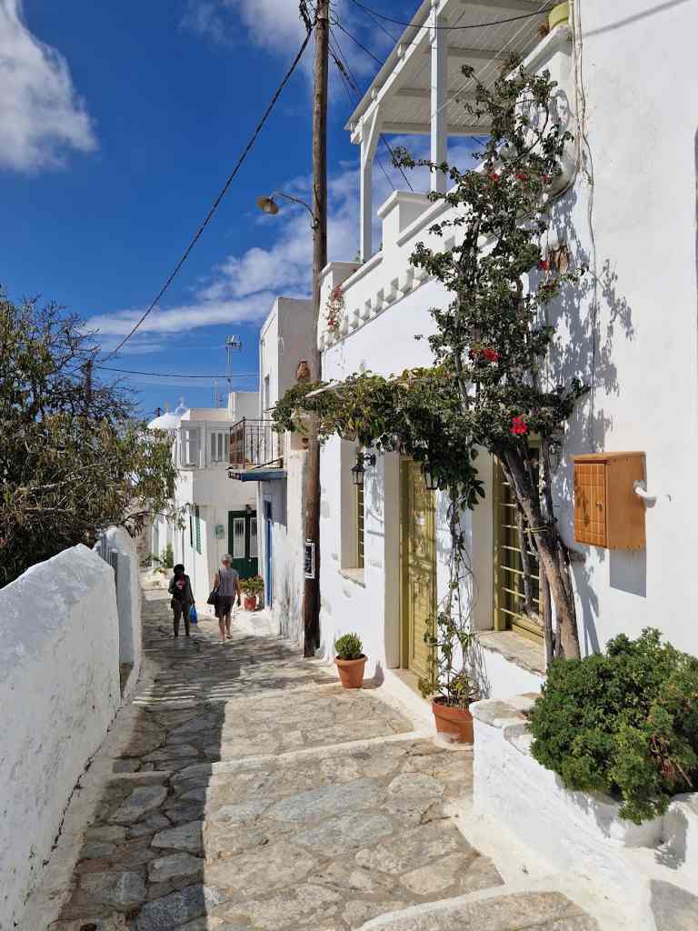 Alley of Chora Amorgos